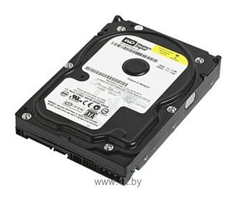 Фотографии Western Digital WD3200AAJS