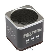 Фотографии Flextron F-CPAS-322B1