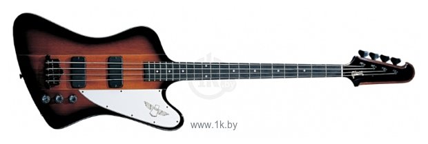 Фотографии Gibson Thunderbird IV Bass