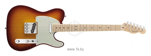 Фотографии Fender Empress Telecaster HYBST