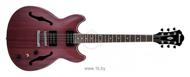 Фотографии Ibanez AS53