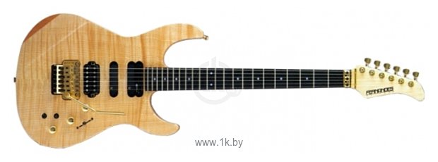 Фотографии Fernandes Guitars FR-155S