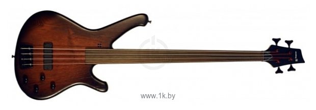 Фотографии Sandberg Bullet Booster 4 fretless