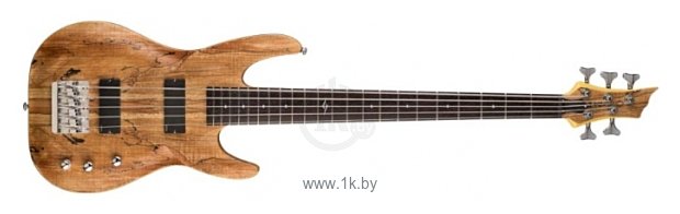 Фотографии DBZ Barchetta SM Bass 5 String
