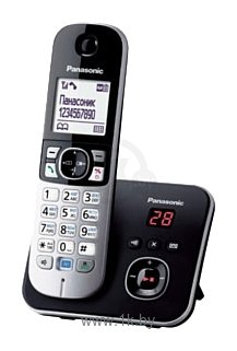 Фотографии Panasonic KX-TG6821