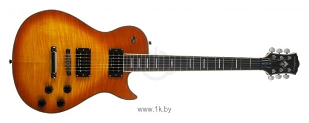 Фотографии Washburn WINDLXF