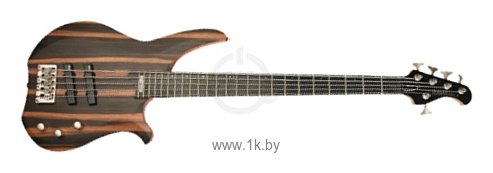 Фотографии Washburn CB5