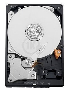 Фотографии Western Digital WD10EURX