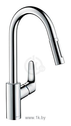 Фотографии Hansgrohe Focus 31815000