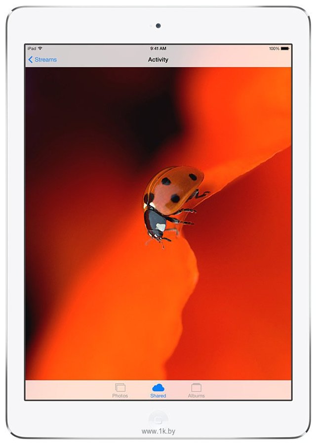 Фотографии Apple iPad Air 64Gb Wi-Fi + Cellular