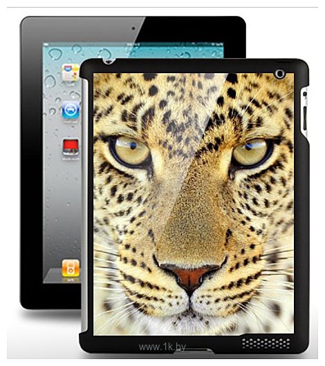 Фотографии Stikk Голова Леопарда для iPad 2 (SYT050)