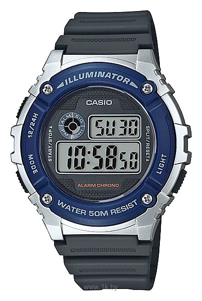 Фотографии Casio W-216H-2A