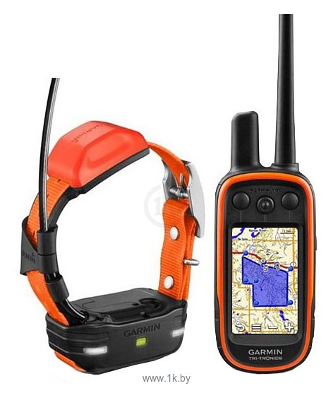 Фотографии Garmin Alpha 100 с ошейником T5