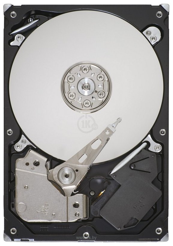 Фотографии Seagate Barracuda 7200.12 320GB (ST3320413AS)