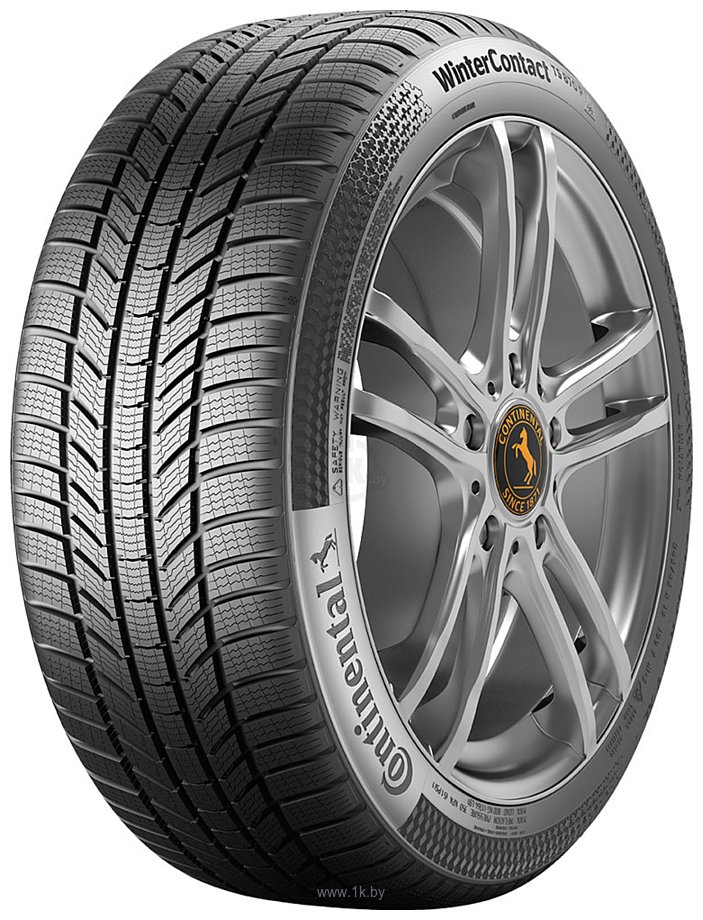 Фотографии Continental WinterContact TS 870 P 275/45 R21 110V