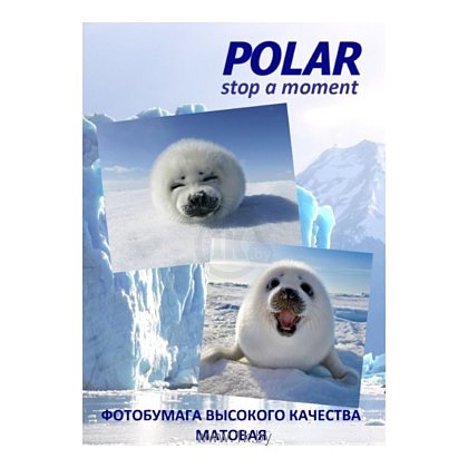 Фотографии Polar A4K40050 универсальная, 40 делений, A4, 100 г/м2, 50 л