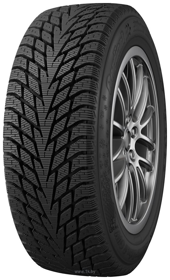 Фотографии Cordiant Winter Drive 2 225/45 R17 94T