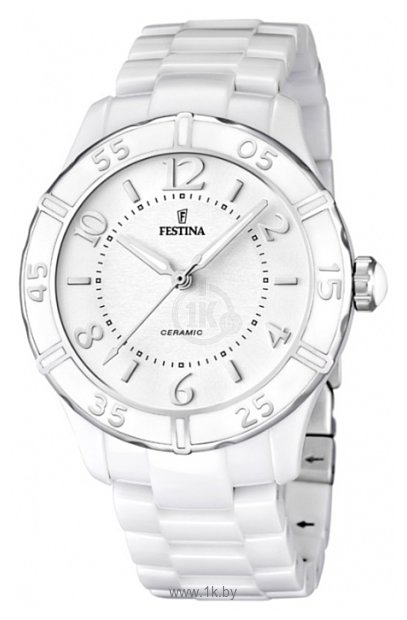 Фотографии Festina F16621/1