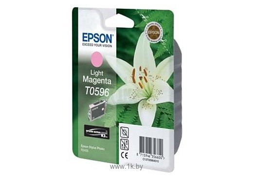 Фотографии Аналог Epson C13T05964010