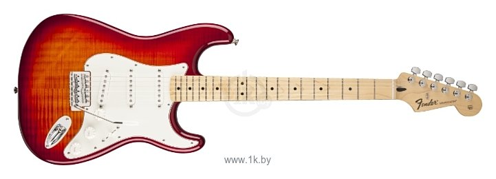 Фотографии Fender Standard Stratocaster Plus Top