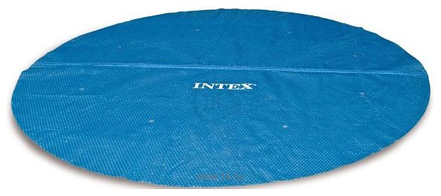 Фотографии Intex 28010