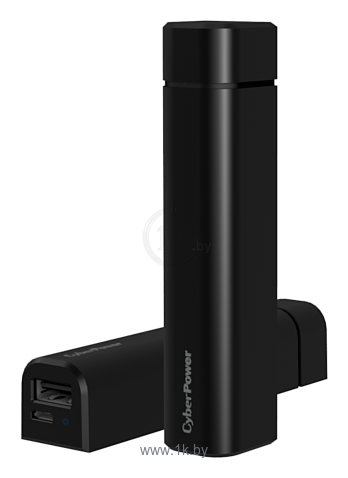 Фотографии CyberPower CP2500NLS 2000 mAh