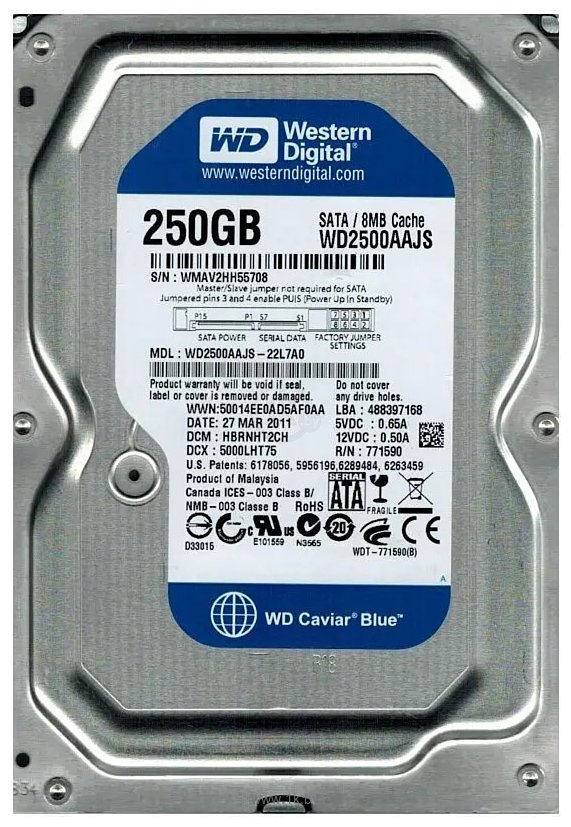 Фотографии Western DigitalCaviar Blue 250GB (WD2500AAJS)