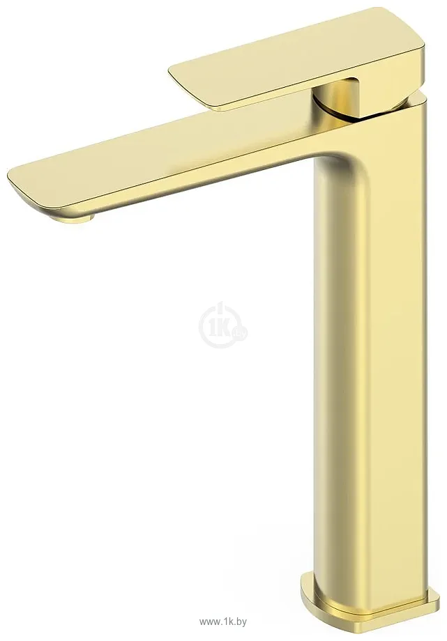 Фотографии Oliveeka 239003 (золотой)