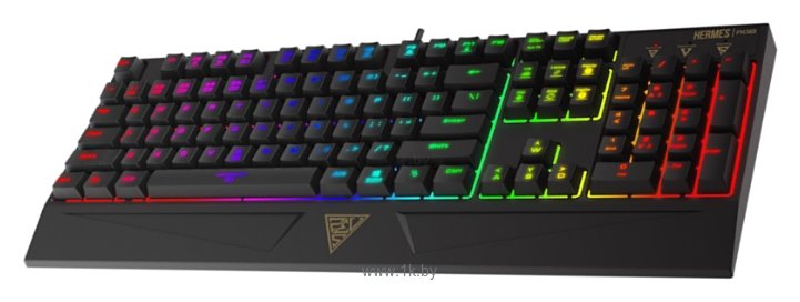 Фотографии GAMDIAS HERMES RGB black USB