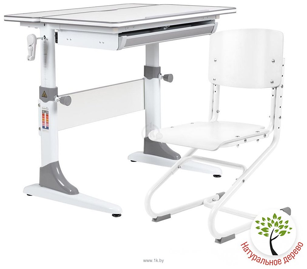 Фотографии Anatomica Study-80 + стул + выдвижной ящик со стулом Ergo Chair белый/белый (белый/серый)