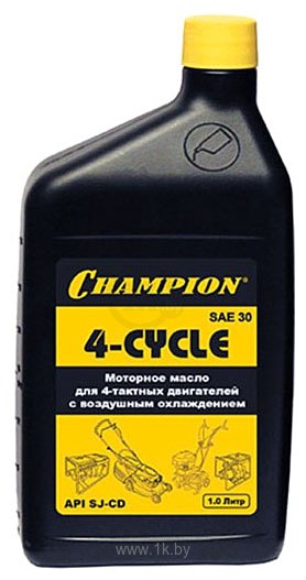 Фотографии Champion 4-Cycle SAE 30 1л (952810)