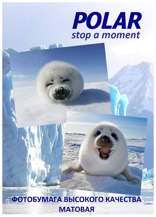 Фотографии Polar в рулоне матовая 610 мм x 30 м, 120 г/м2 (A1M6933)