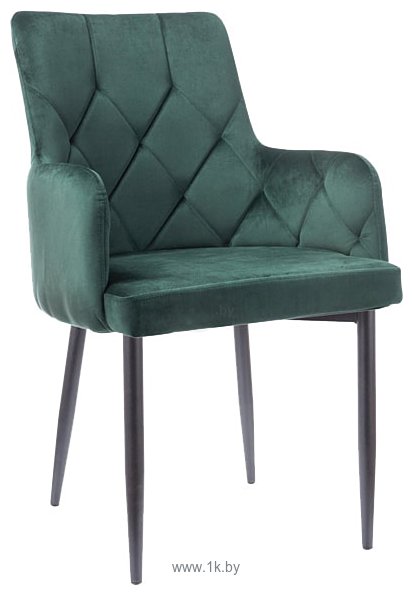 Фотографии Signal Ricardo B Velvet (bluvel 78 зеленый/черный)