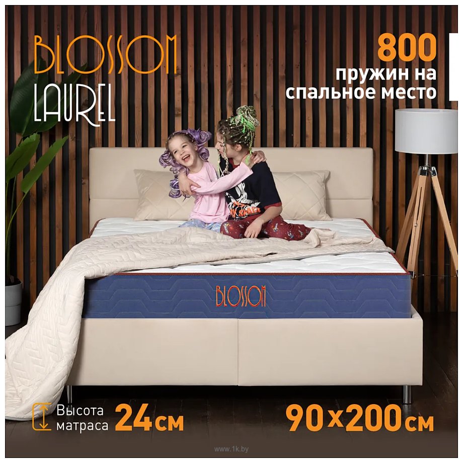 Фотографии Blossom Laurel 90x200