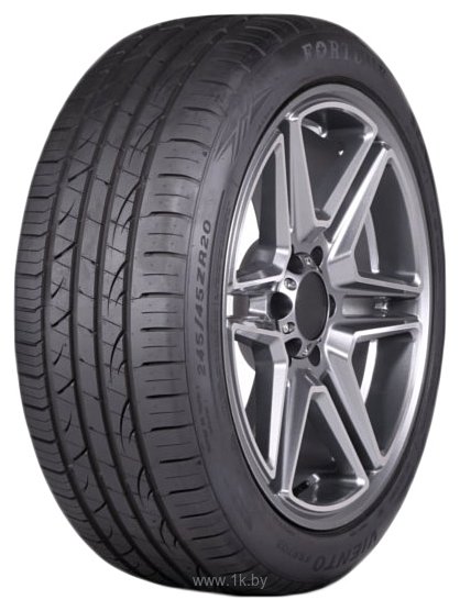 Фотографии Fortune Viento FSR702 205/45 R17 88W