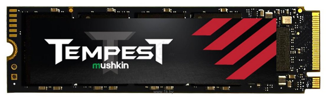 Фотографии Mushkin Tempest 1TB MKNSSDTS1TB-D8