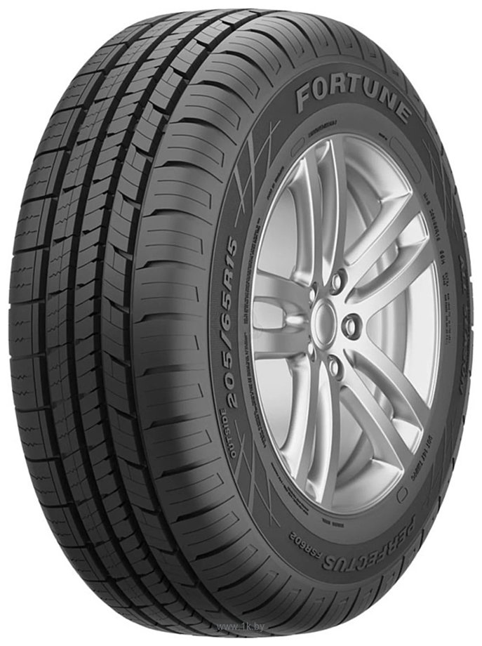 Фотографии Fortune FSR602 225/55 R18 98V