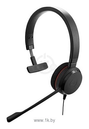 Фотографии Jabra EVOLVE 20 MS Mono