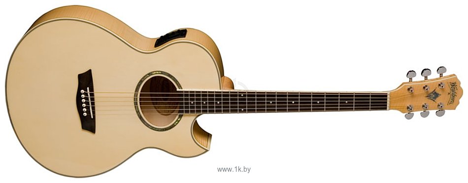 Фотографии Washburn EA20S