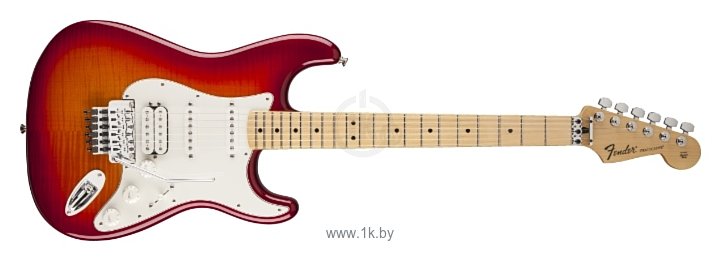 Фотографии Fender Standard Stratocaster Plus Top with Locking Tremolo