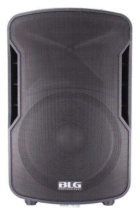 Фотографии BLG Audio BP13-12A14