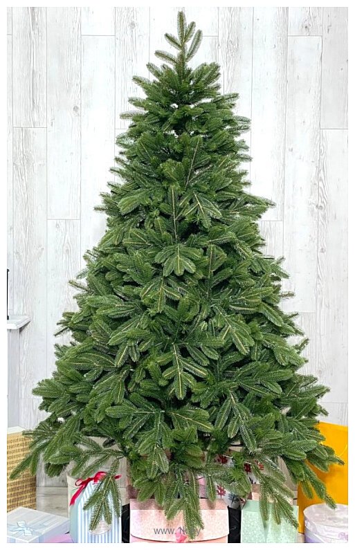 Фотографии Holiday Trees Каролина 2.1 м