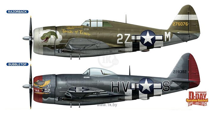 Фотографии Hasegawa Истребитель-бомбардировщик P47D Thunderbolt Razorback (2 kits)