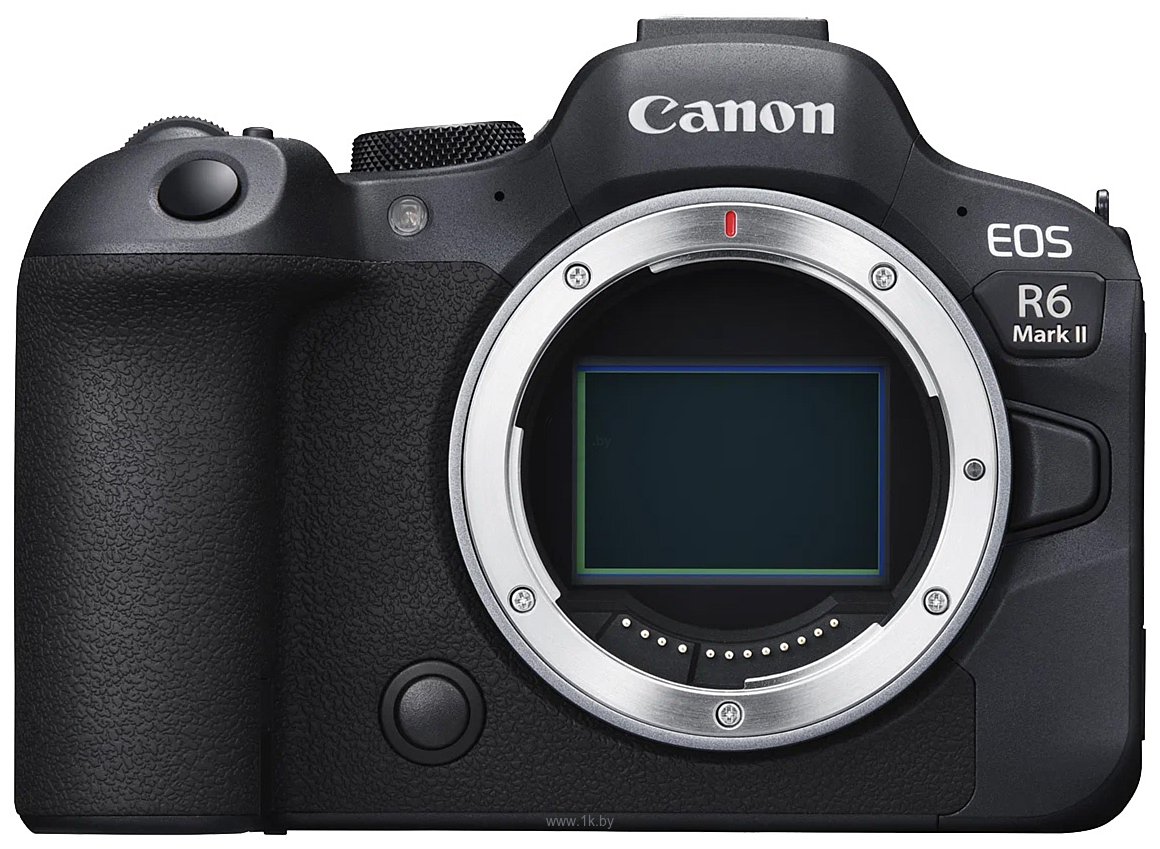 Фотографии Canon EOS R6 Mark II Body