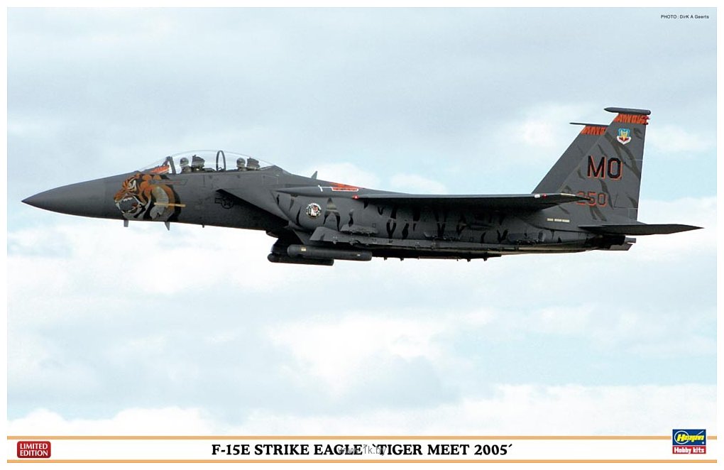 Фотографии Hasegawa Истребитель-бомбардировщик F-15E Strike Eagle Tiger Meet 1:48