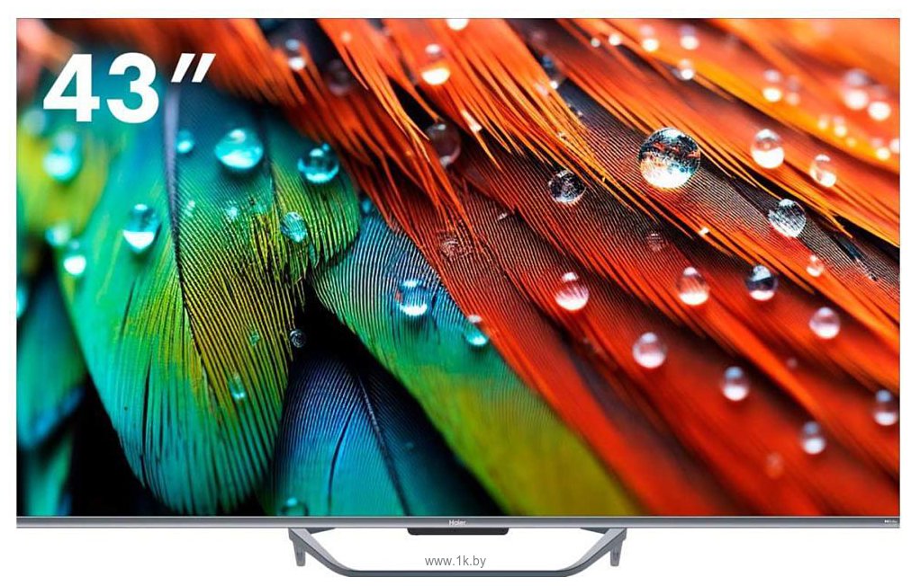 Фотографии Haier 43 Smart TV S4