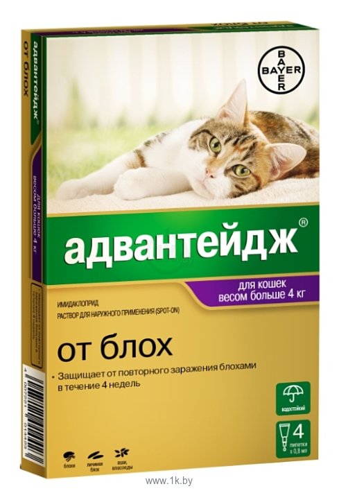 Фотографии Адвантейдж (Bayer) Адвантейдж для кошек более 4кг (1 пипетка)