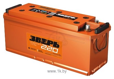 Фотографии Зверь TT 220 (220Ah)