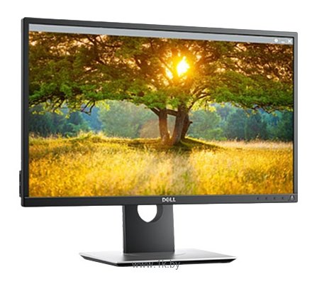 Фотографии DELL P2417H