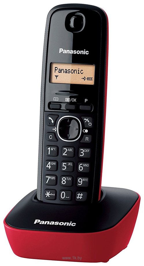 Фотографии Panasonic KX-TG1611RUR